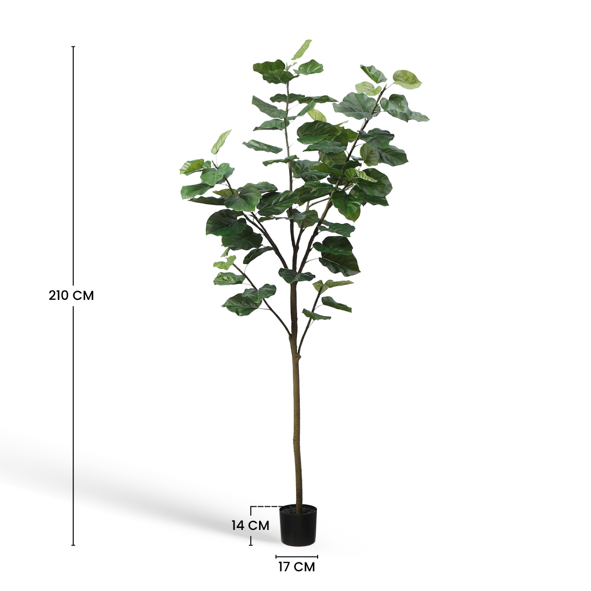 sia-noah-ficus-parapluie-artificiel-vert-210-cm-en-pot image 6