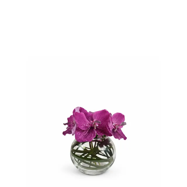 sia-deco-noah-chlo-composition-orchid-e-vase-rond-violet image 1