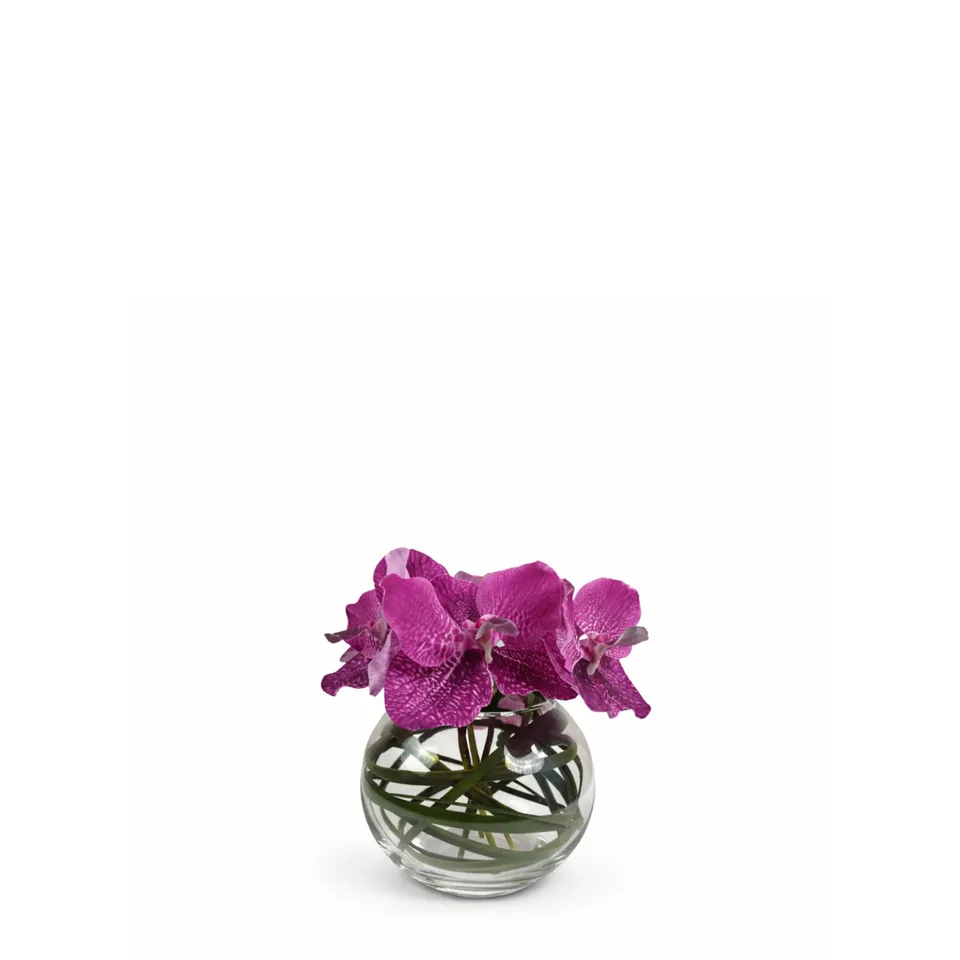 sia-deco-noah-chlo-composition-orchid-e-vase-rond-violet image 1