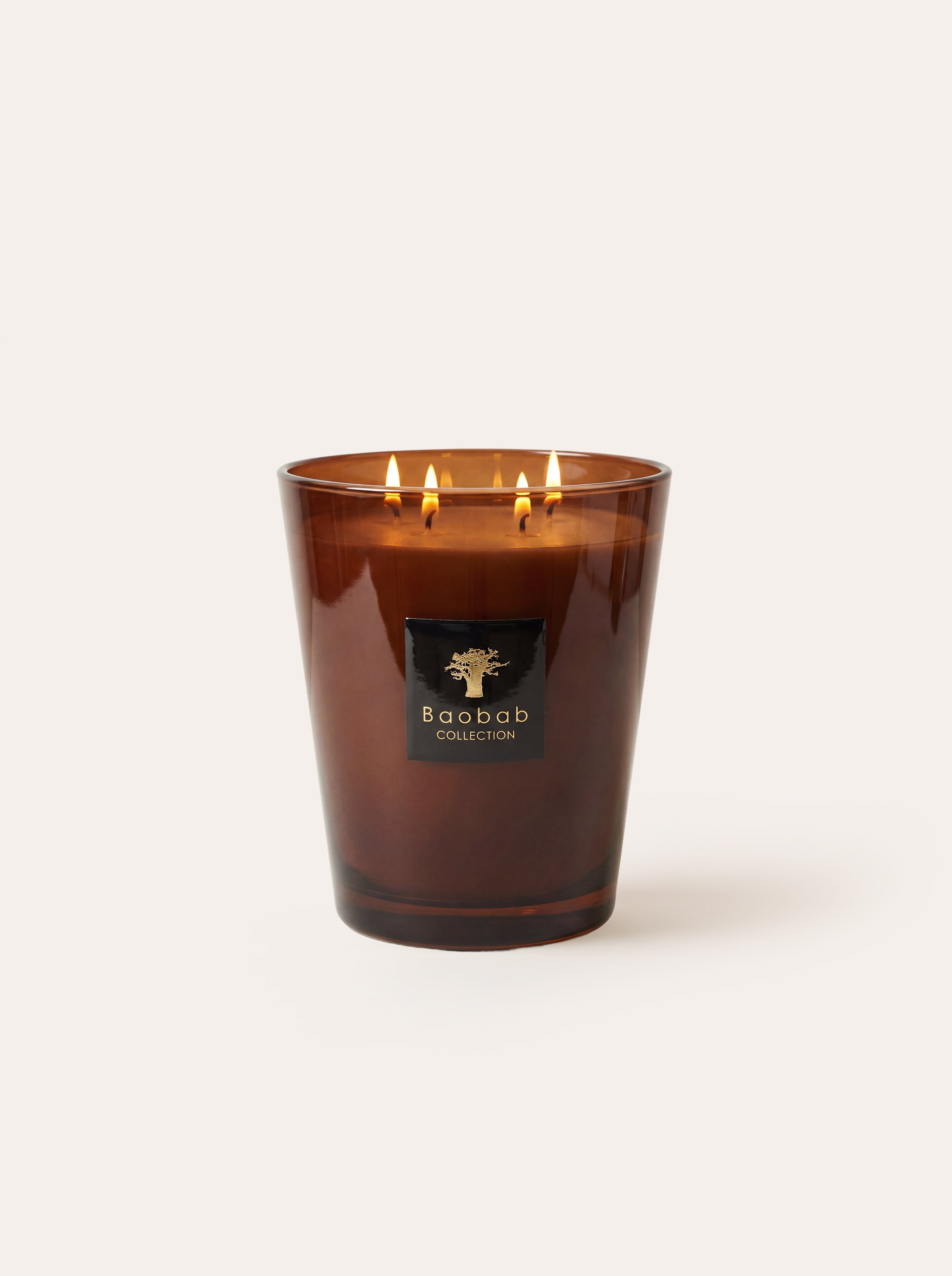 baobab-collection-les-prestigieuses-cuir-de-russie-bougie-classique image 4