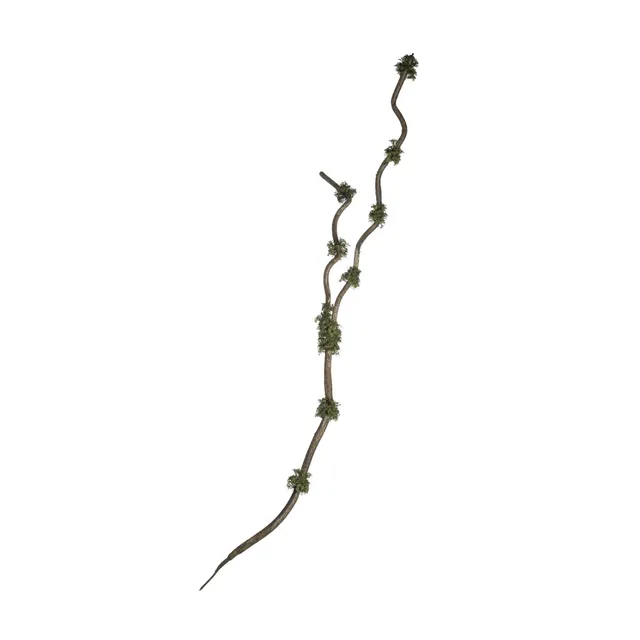 sia-noah-branche-mousse-195-cm-verte-effet-bois image 1