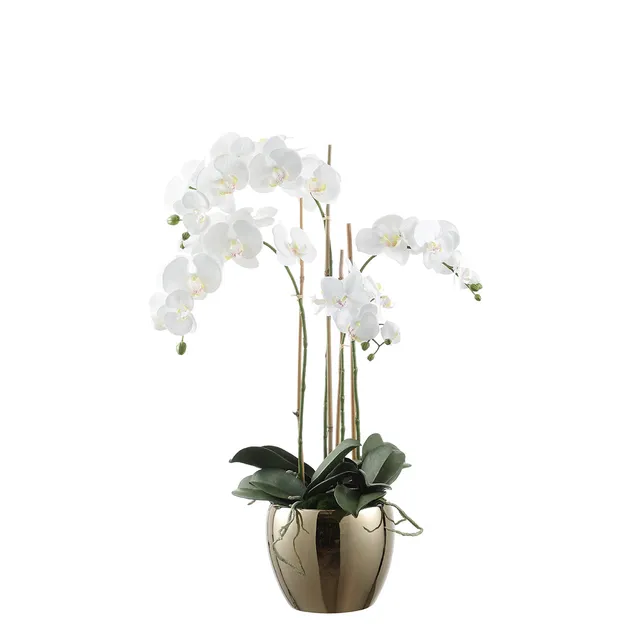 sia-deco-noah-orchid-e-artificielle-vase-dor-blanc-79-cm image 1