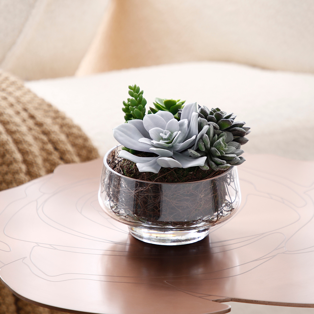 sia-noah-composition-succulentes-vase-verre-vert image 3