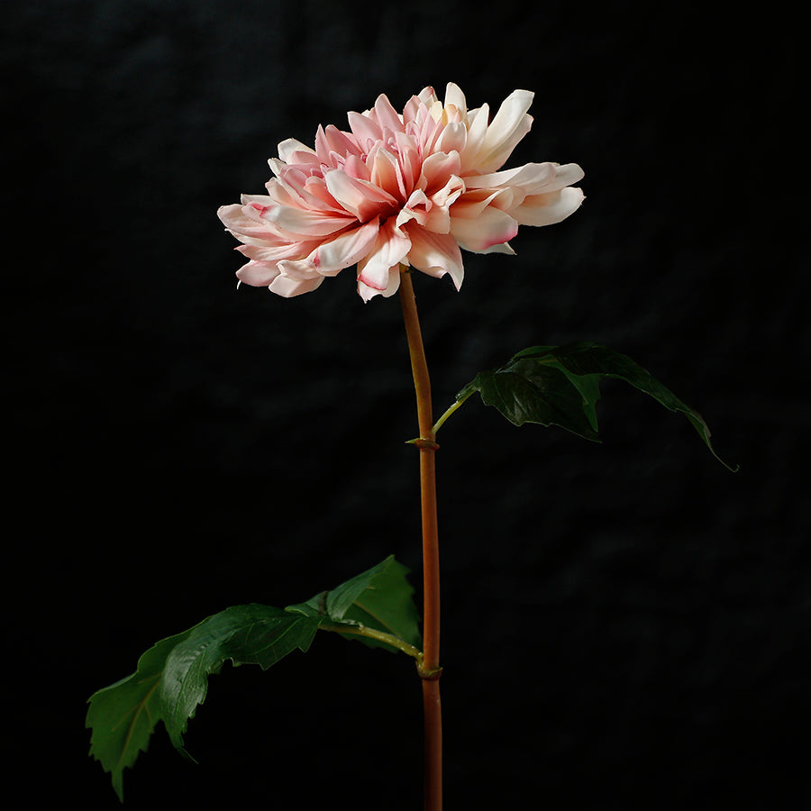 sia-deco-noah-dahlia-premium-50-cm-fleur-artificielle-rose image 3