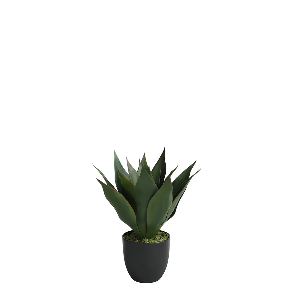 sia-deco-noah-agave-artificiel-en-pot-vert-35-cm image 1