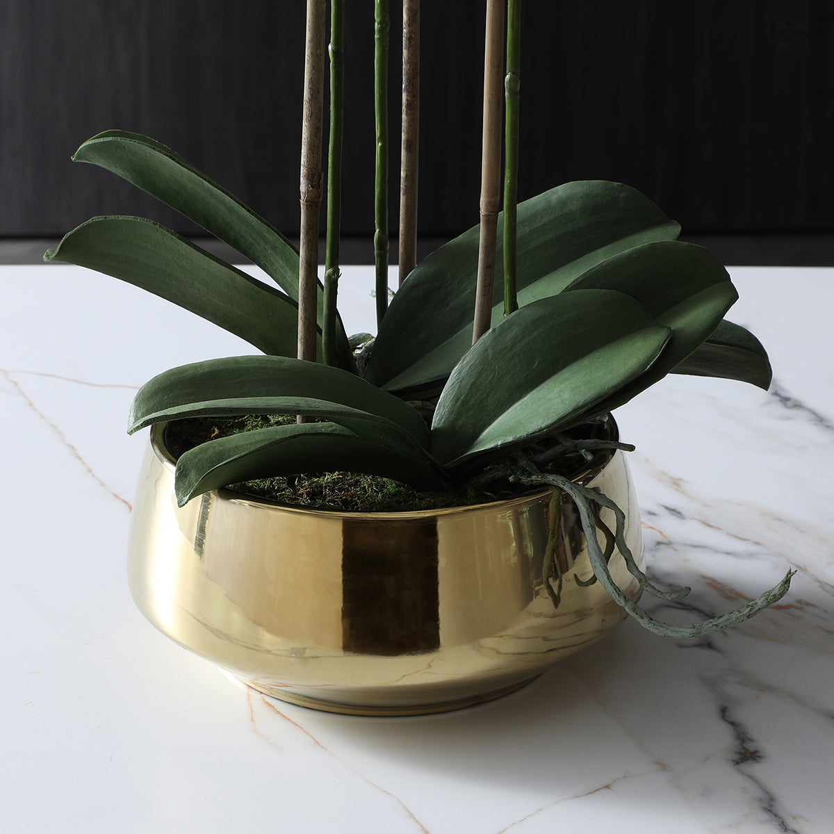 sia-deco-noah-lena-8-branches-orchid-e-artificielle-blanc-vase-dor image 5