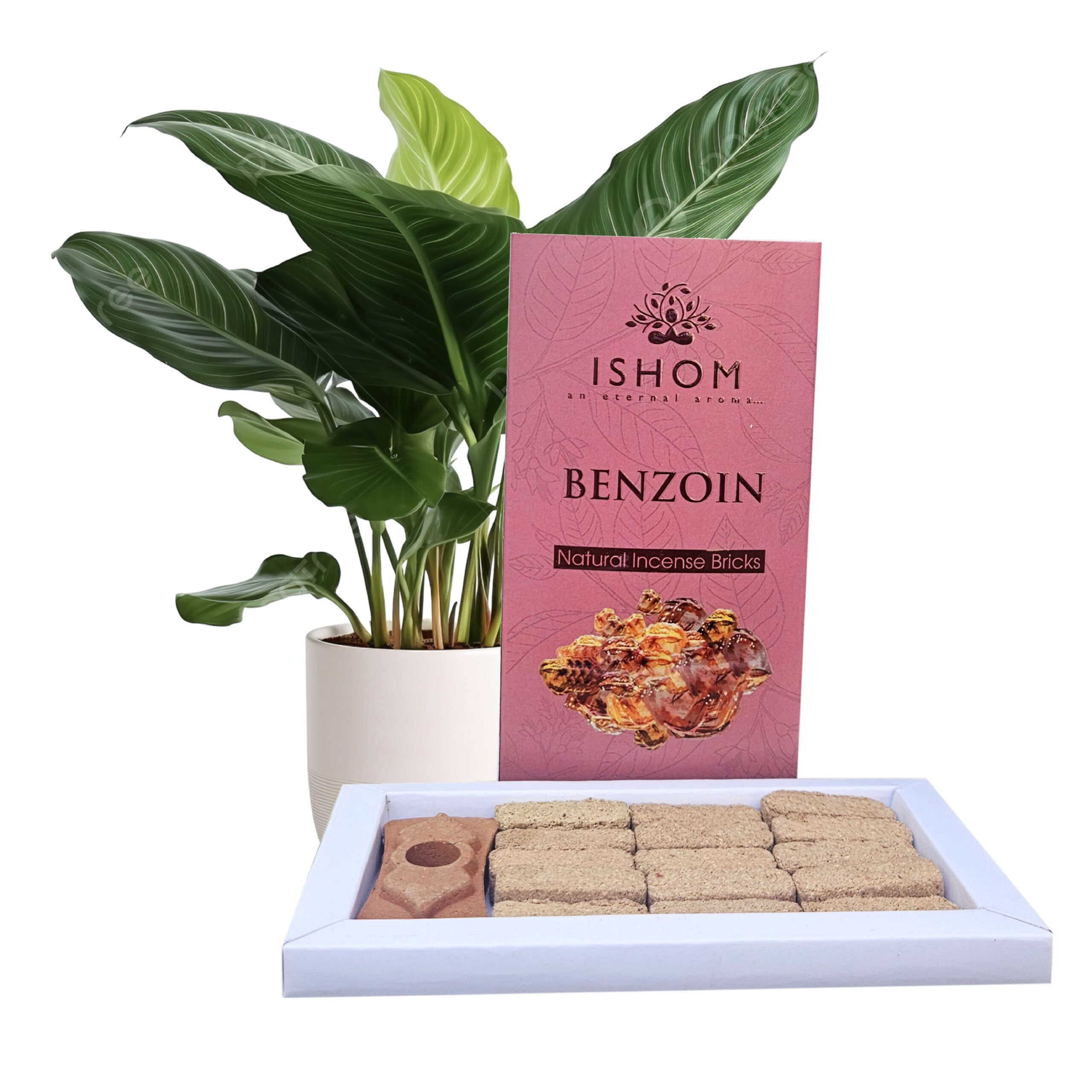 aromatika-ishom-benjoin-briques-d-encens-naturel-15-briques-purification image 1