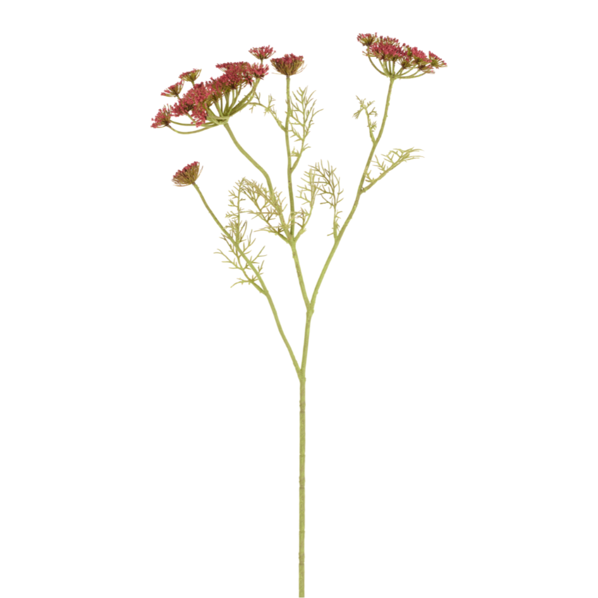 sia-deco-noah-carotte-sauvage-tige-fleur-jaune-75-cm image 5