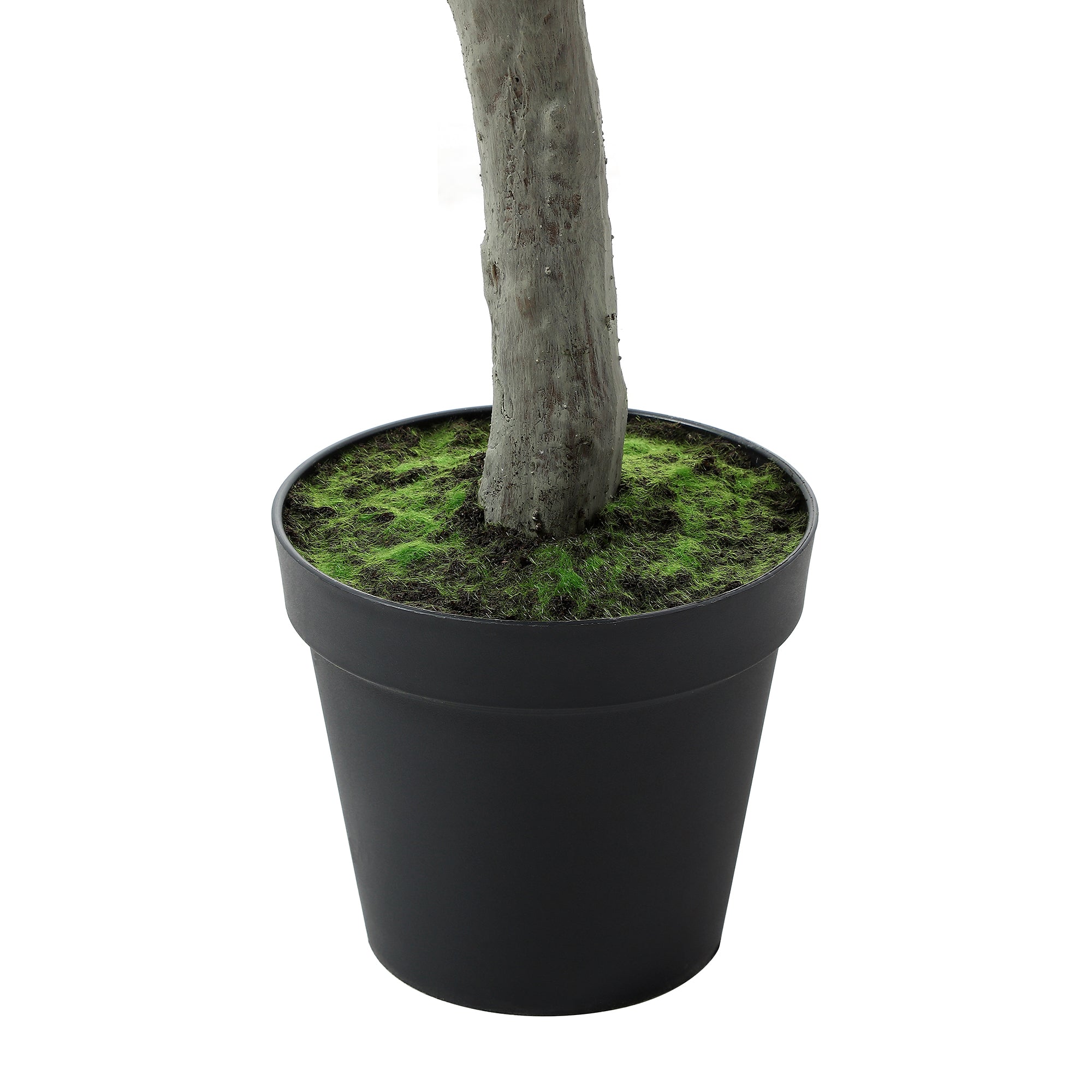 sia-deco-noah-olivier-artificiel-en-pot-vert-210-cm image 5