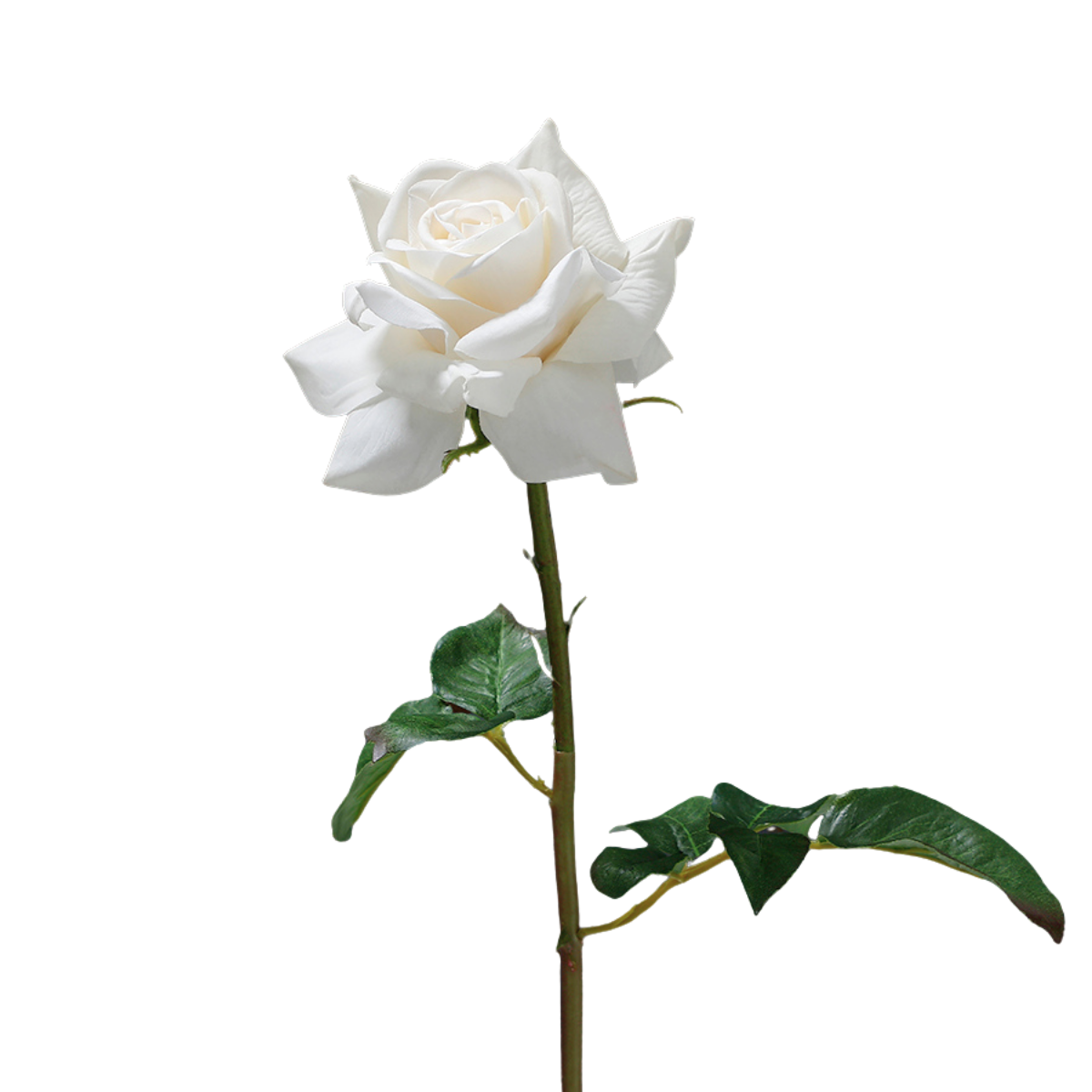 sia-noah-tige-rose-dutchess-premium-artificielle-rouge-50cm image 6
