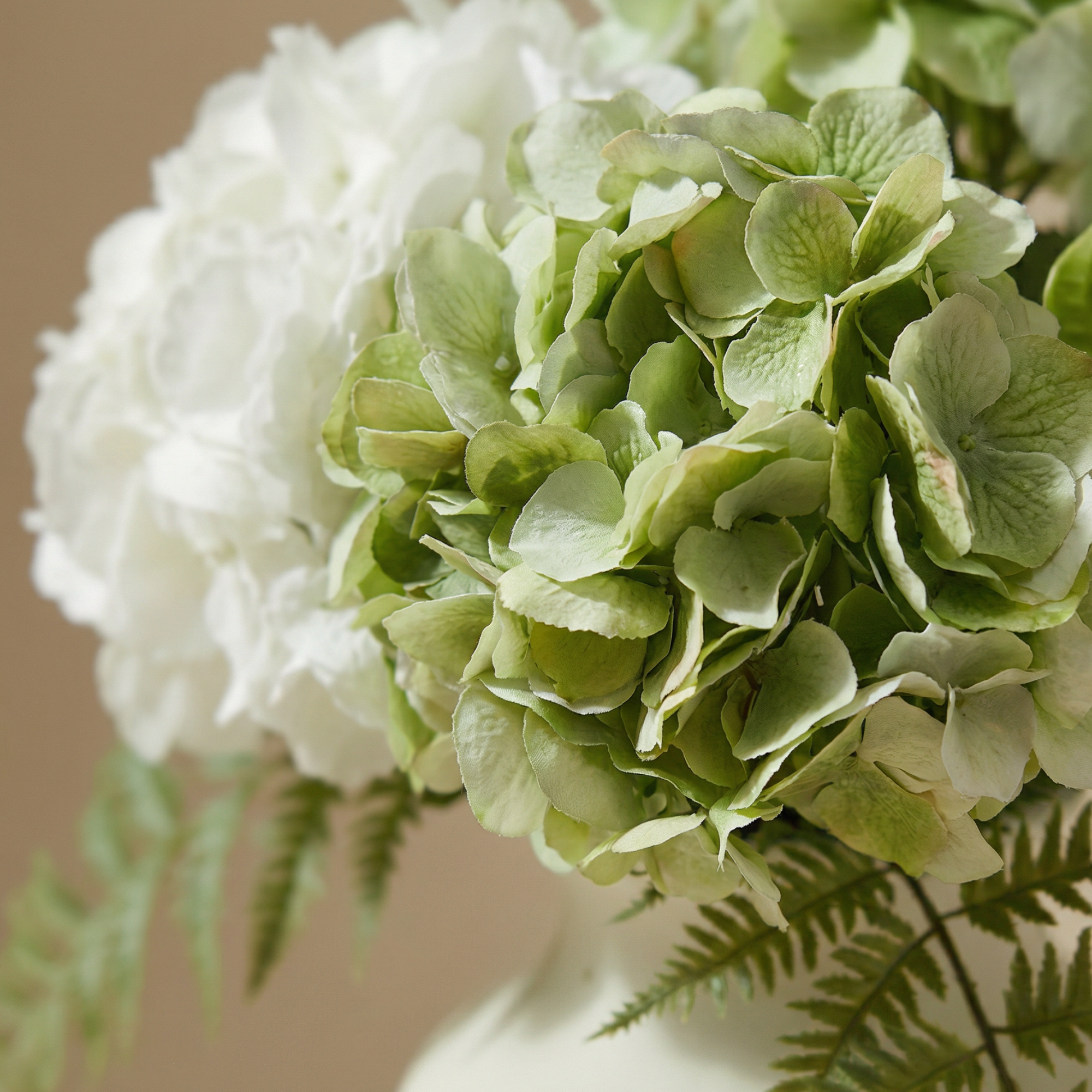 sia-noah-vireya-bouquet-hortensias-blanc-vert-6-tiges image 3