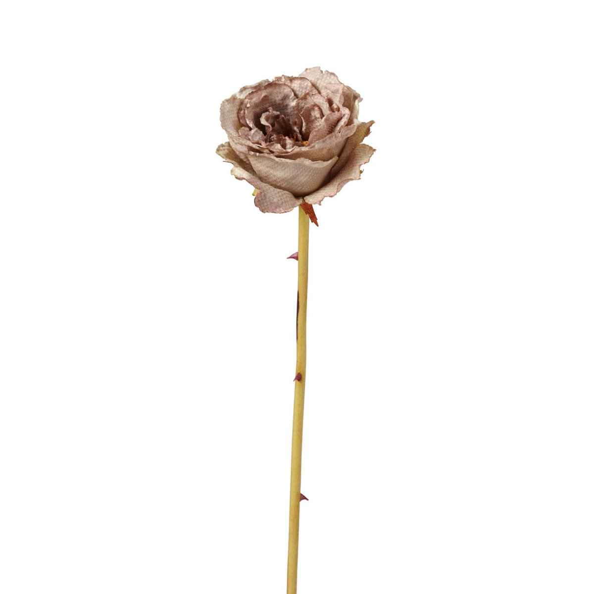 sia-noah-leslie-tige-rose-artificielle-marron-55-cm image 3