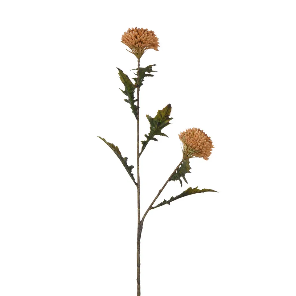 sia-noah-tige-chardon-78-cm-fleur-artificielle-orange image 1