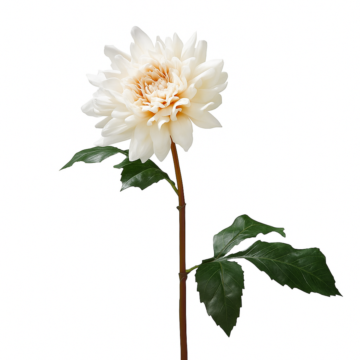 sia-deco-noah-dahlia-premium-50-cm-fleur-artificielle-rose image 8