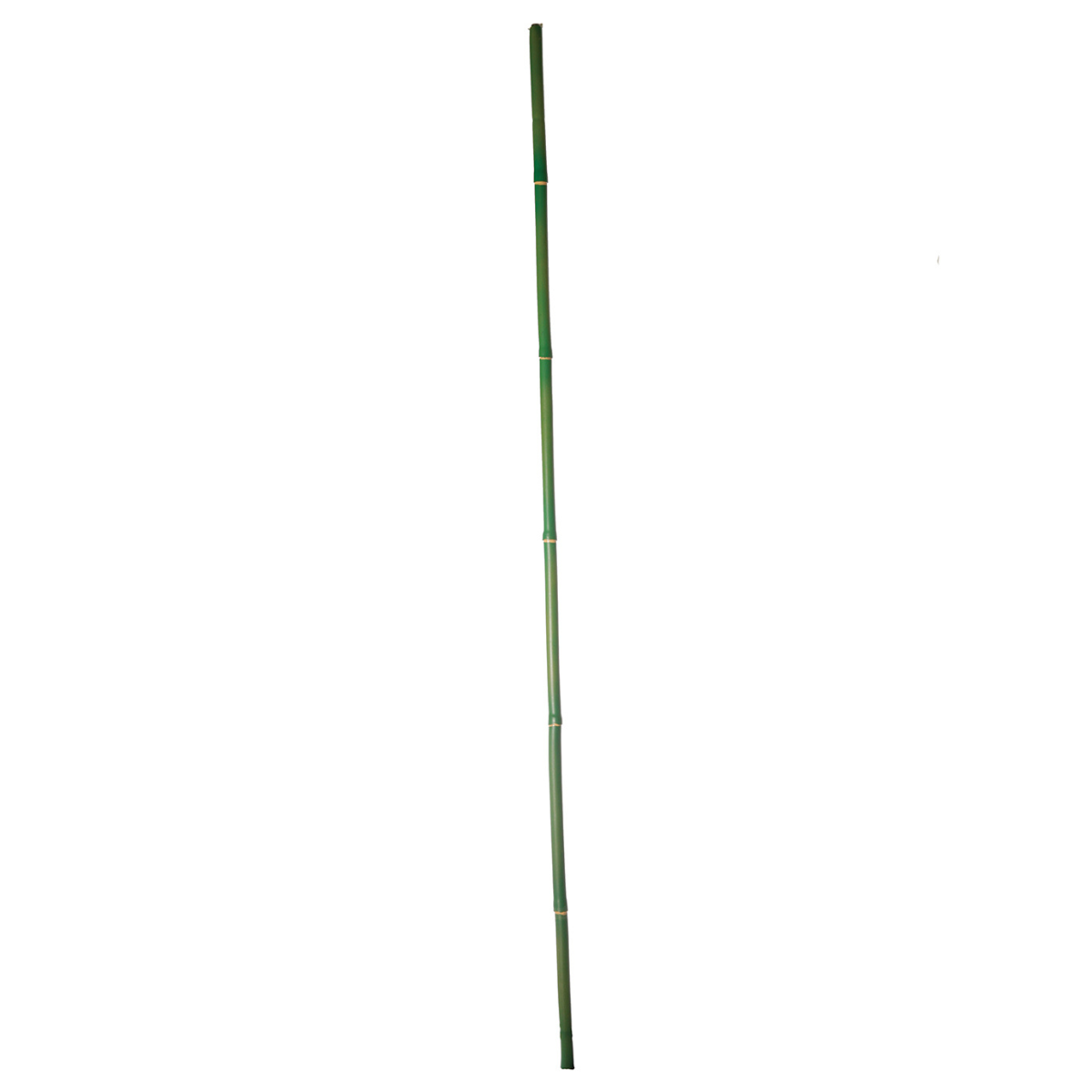 sia-deco-noah-branche-de-bambou-artificielle-vert-120-cm image 1