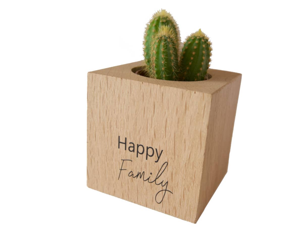 am-cla-happy-family-cache-pot-bois-cube-9x9-ch-ne image 1