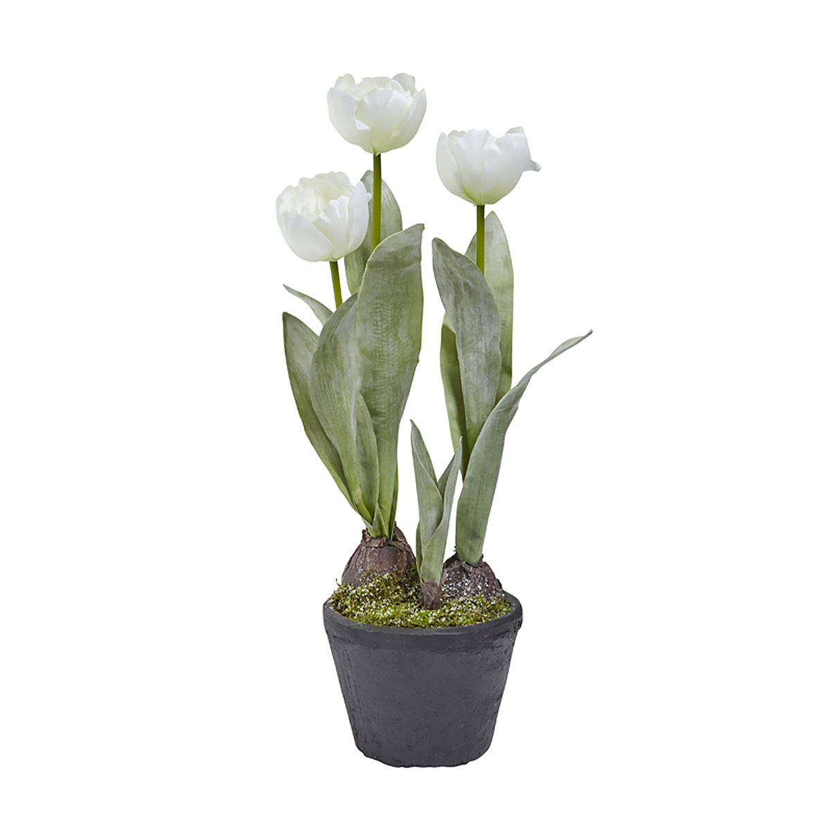 sia-deco-noah-tulipes-givr-es-en-pot-46-cm-blanc image 3