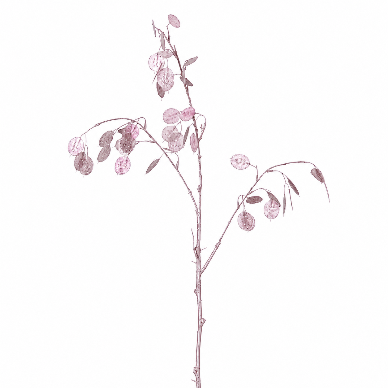 sia-noah-lunaria-feuillage-artificiel-116-cm-rose-m-tal image 1
