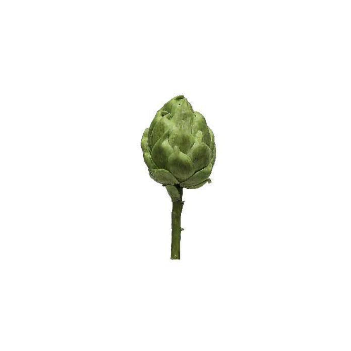 sia-deco-noah-tige-artichaut-artificiel-vert-grand-format image 1