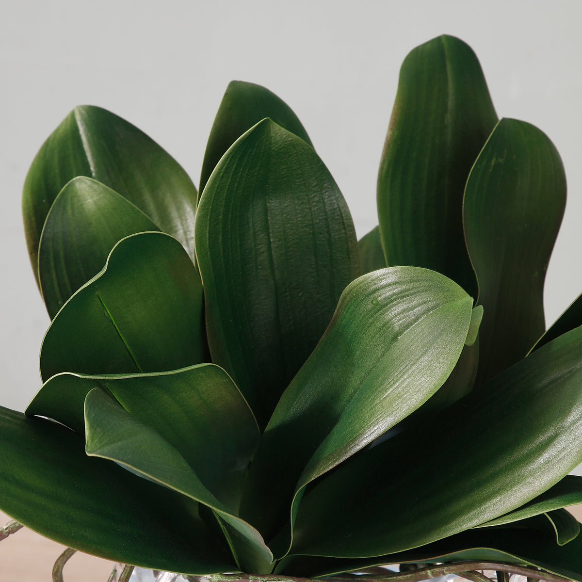 sia-deco-noah-feuillage-orchid-e-piquer-artificiel-vert-20-cm image 3