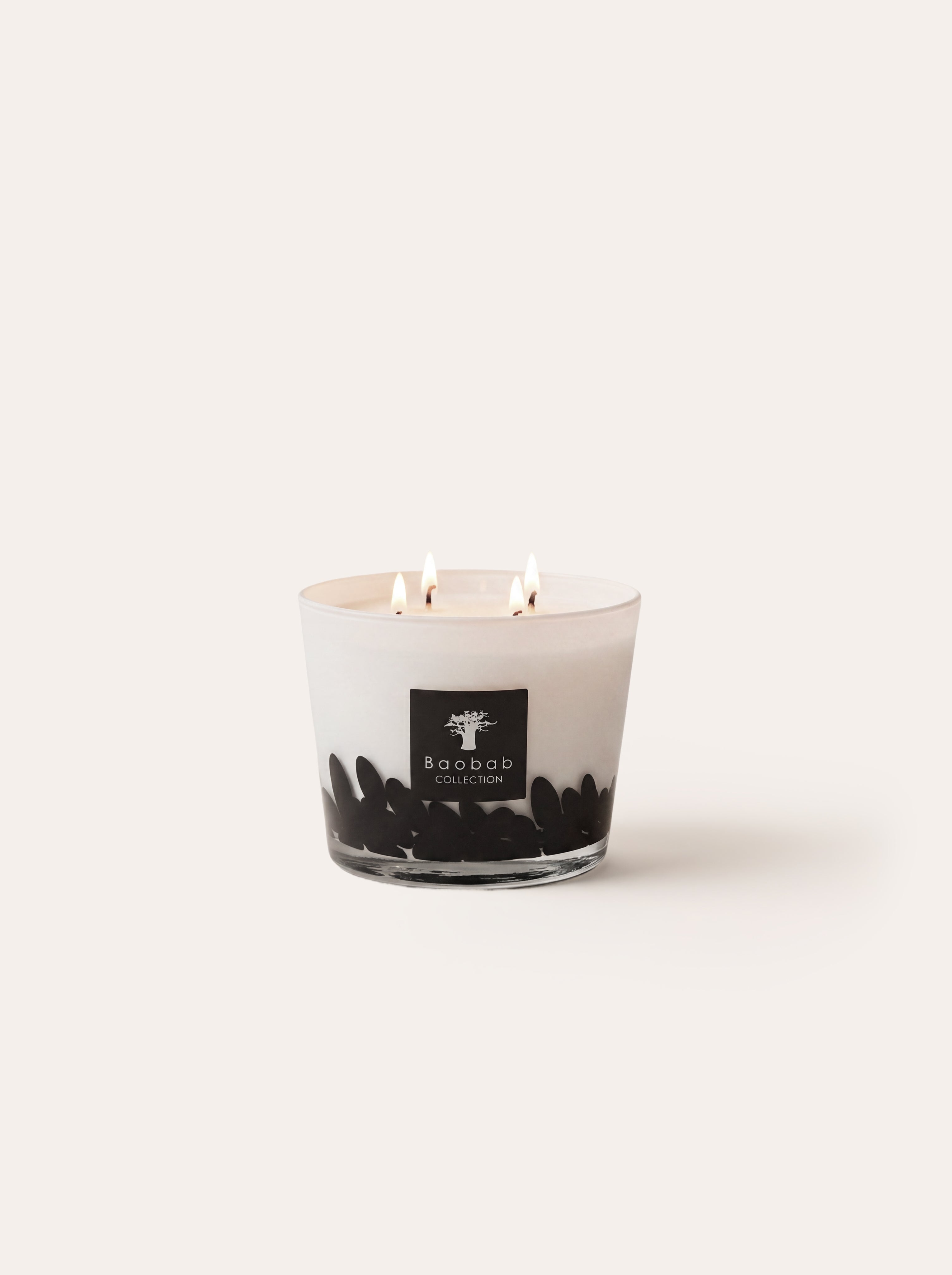 baobab-collection-feathers-bougie-parfum-e-classique-verre-noir image 4