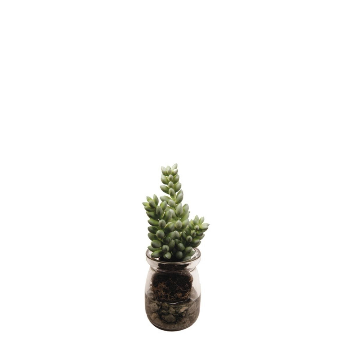 sia-deco-noah-sedum-succulente-artificielle-verte-13-cm image 1