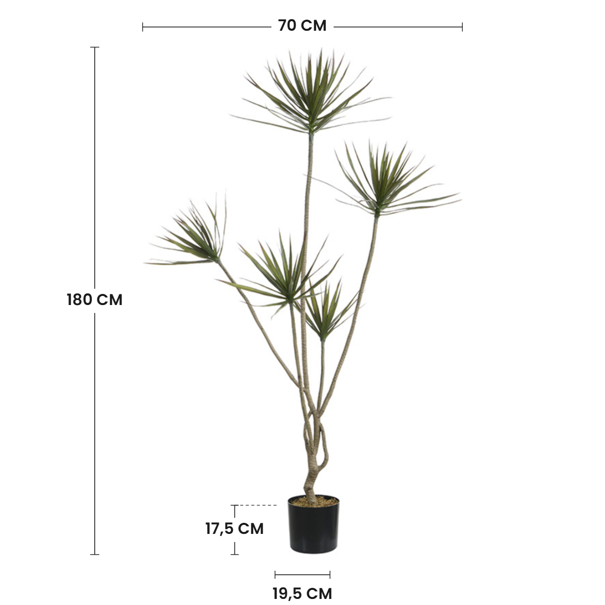 sia-deco-noah-cordyline-arbre-artificiel-vert-180-cm-en-pot image 3