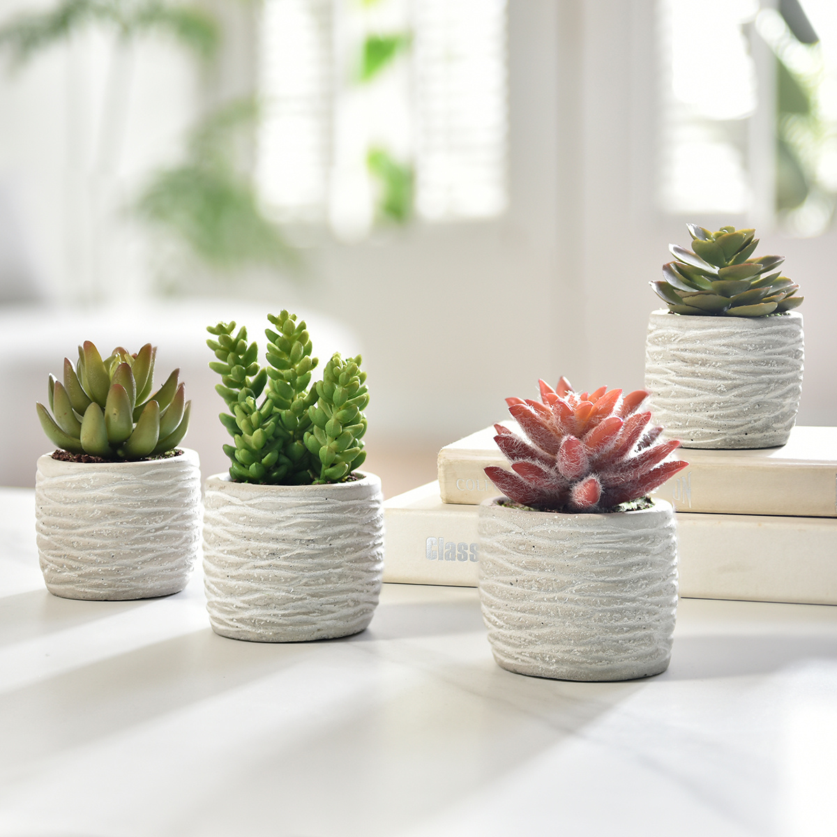 sia-noah-succulentes-plante-artificielle-pot-gris-14-cm image 3