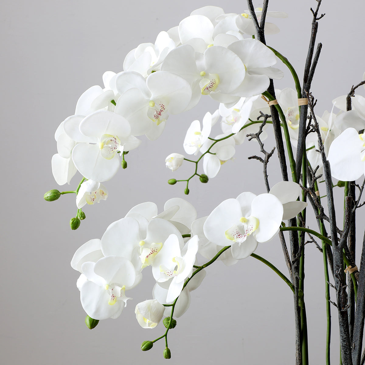 sia-deco-noah-orchid-e-artificielle-blanc-113-cm image 4