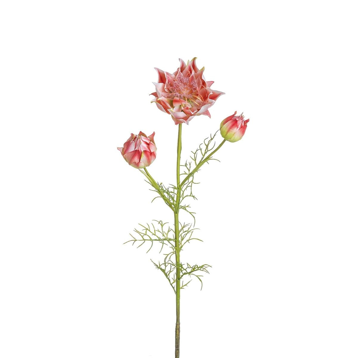 sia-deco-noah-tige-de-serruria-fleur-artificielle-rose-112-cm image 1