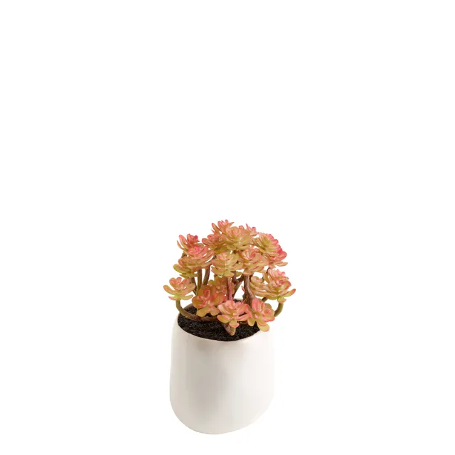 sia-deco-noah-succulente-en-pot-plante-artificielle-orange-vert-12-cm image 1