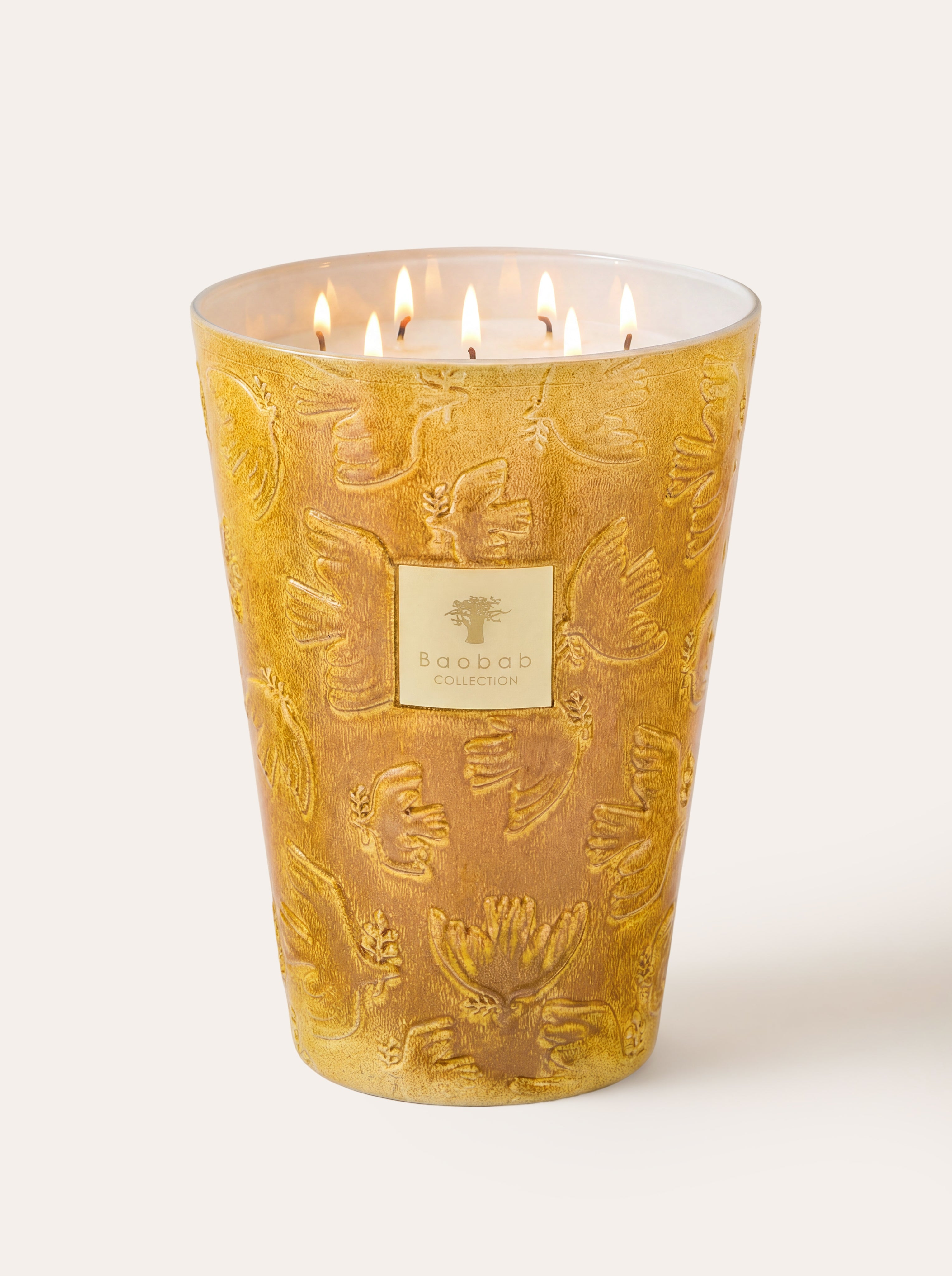 baobab-collection-paz-dove-bougie-parfum-e-classique-jaune image 6