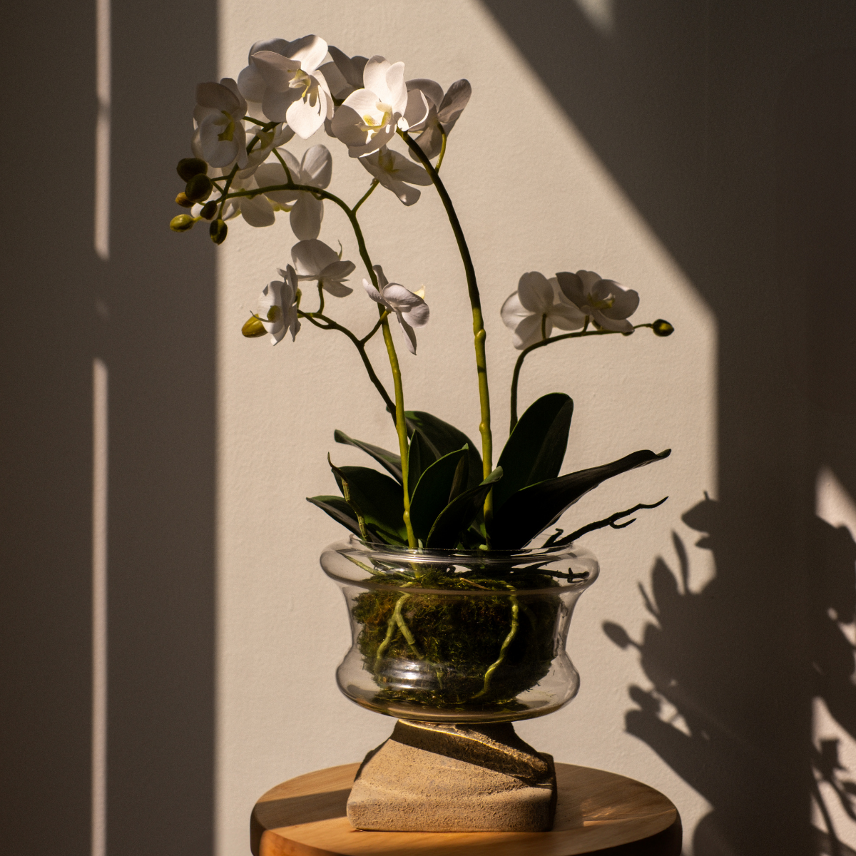 sia-deco-noah-orchid-e-artificielle-blanc-58-cm-pot-verre image 5