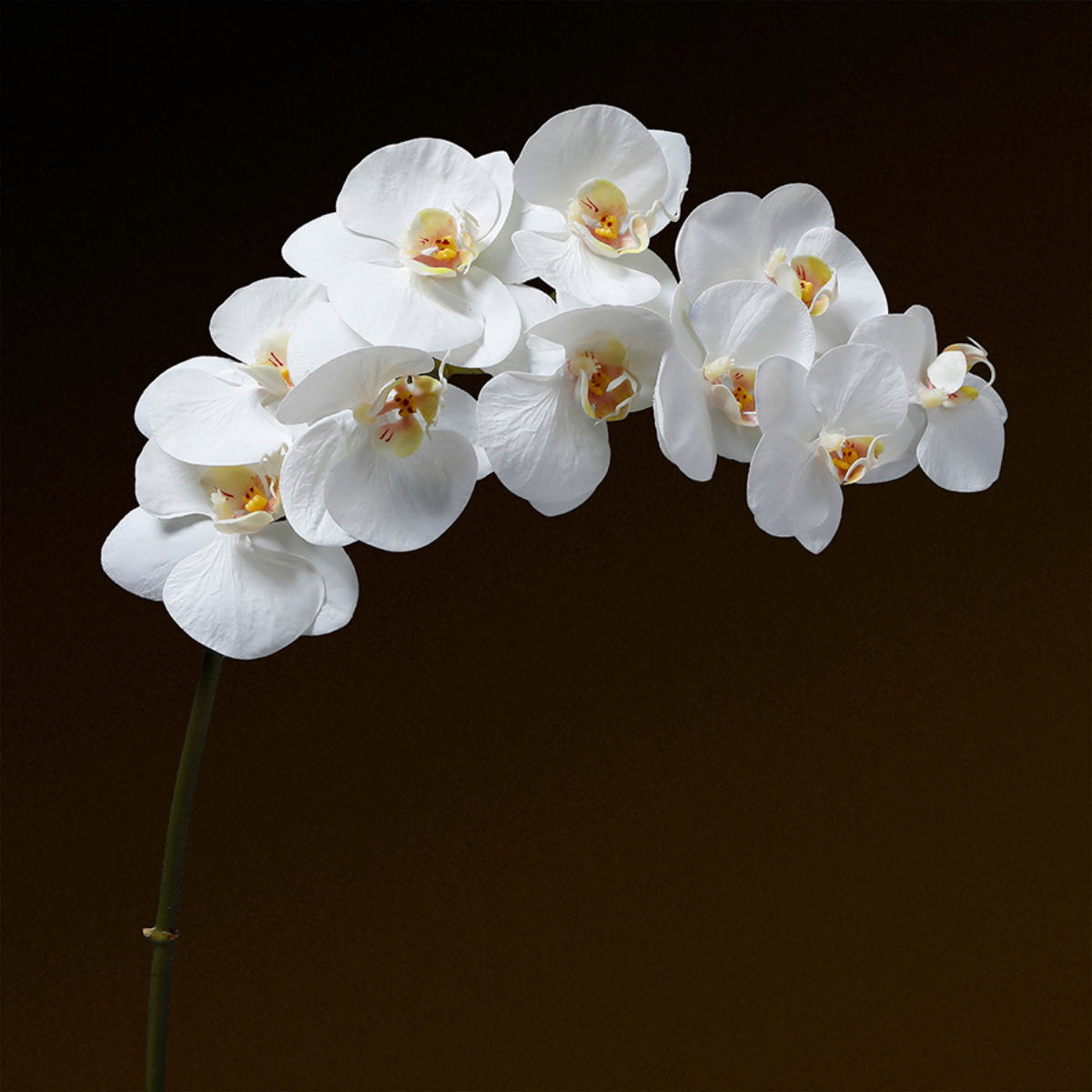 sia-deco-noah-tige-orchid-e-blanche-100cm-premium image 2