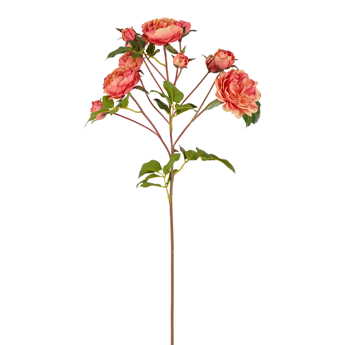 sia-deco-noah-tige-de-roses-artificielle-blanc-50-cm image 1