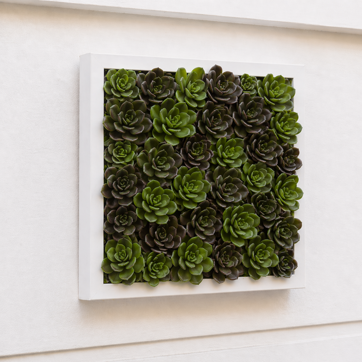 sia-deco-noah-succulente-piquer-verte-30-cm-echeveria image 6