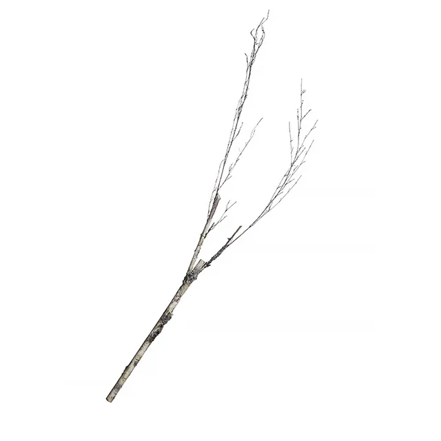 sia-noah-branche-de-boulot-blanc-173-cm image 1