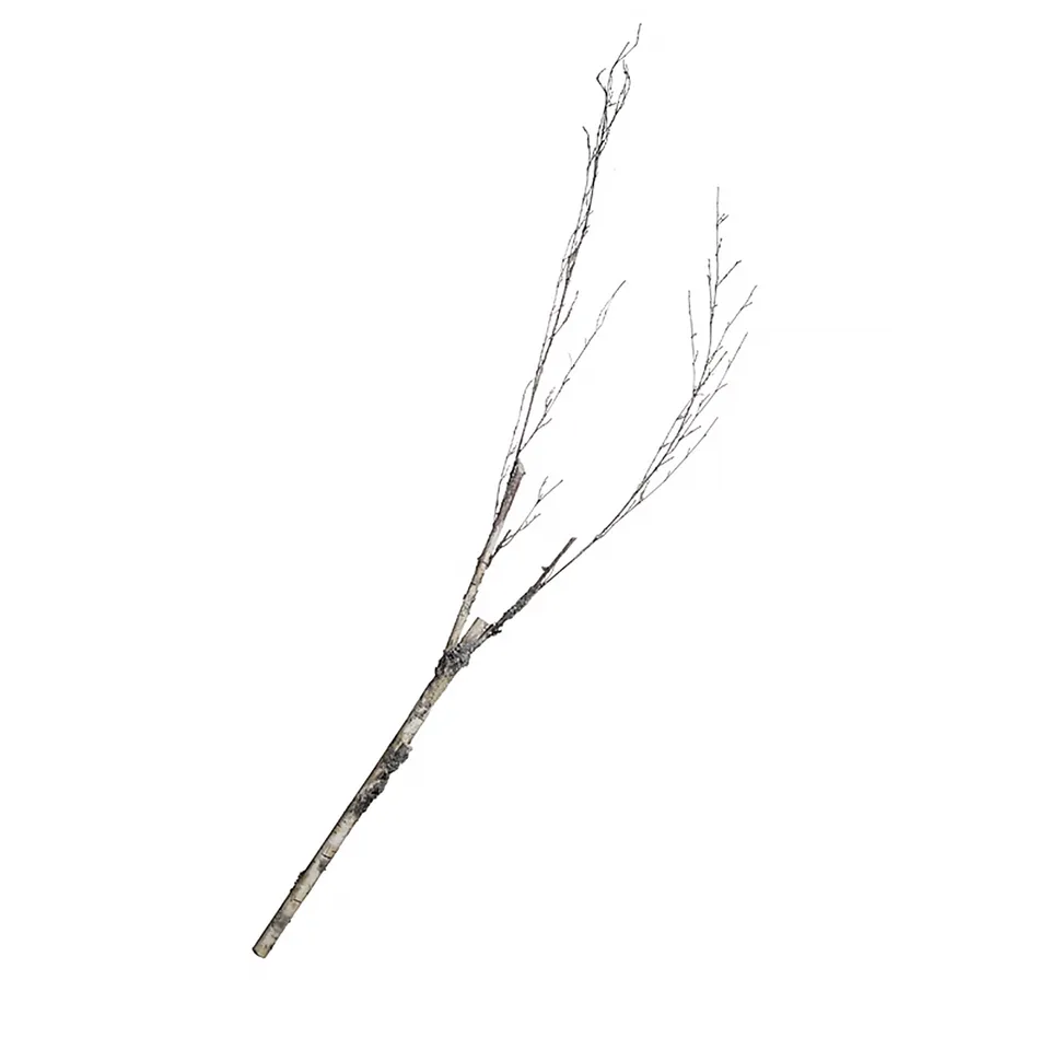 sia-noah-branche-de-boulot-blanc-173-cm image 1
