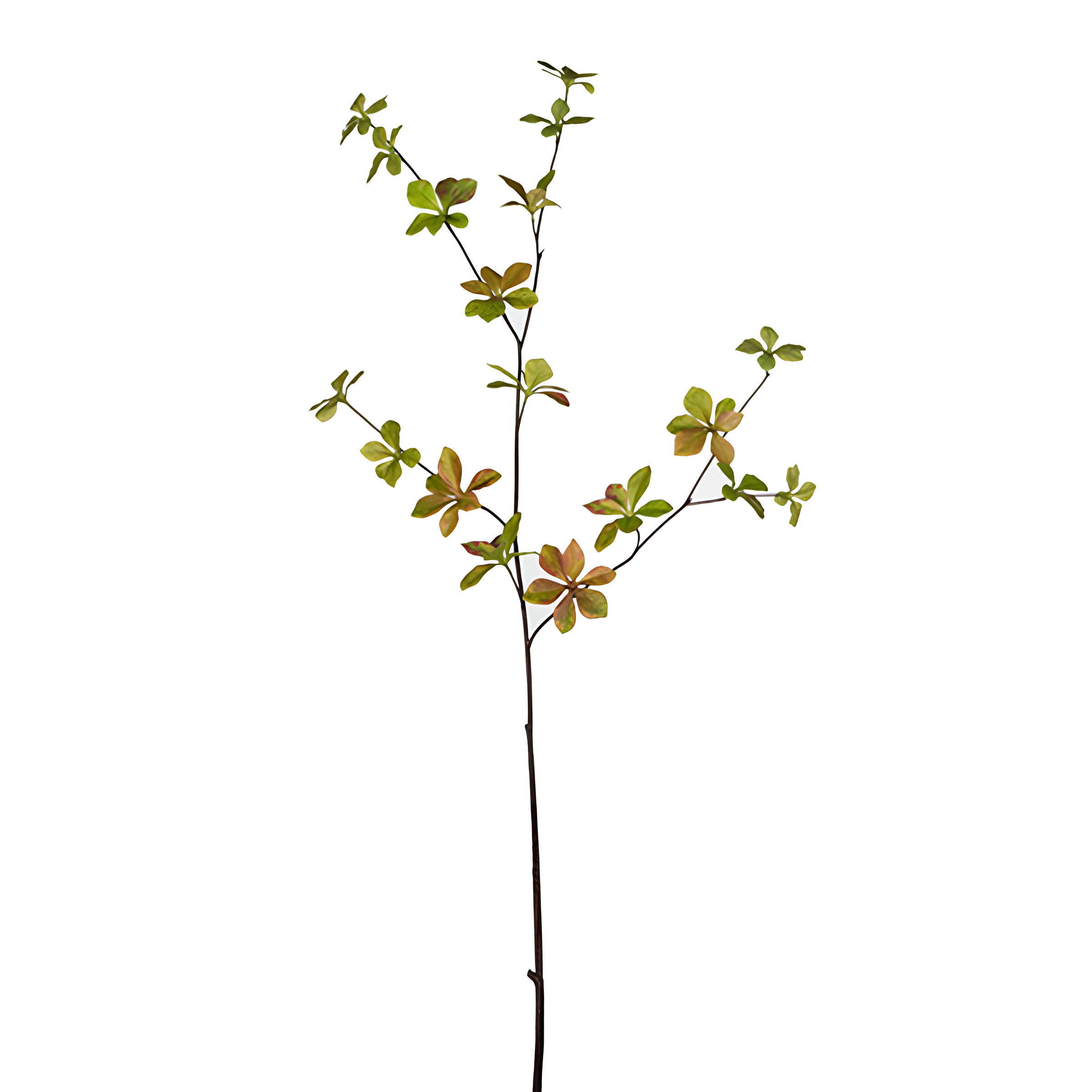 sia-deco-noah-feuillage-enkianthus-97-cm-rouge-fonc image 3