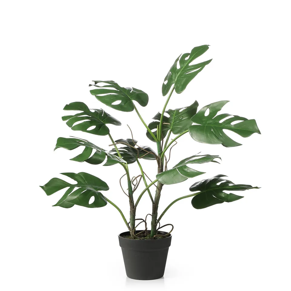 sia-deco-noah-monstera-artificielle-verte-75-cm-en-pot image 1