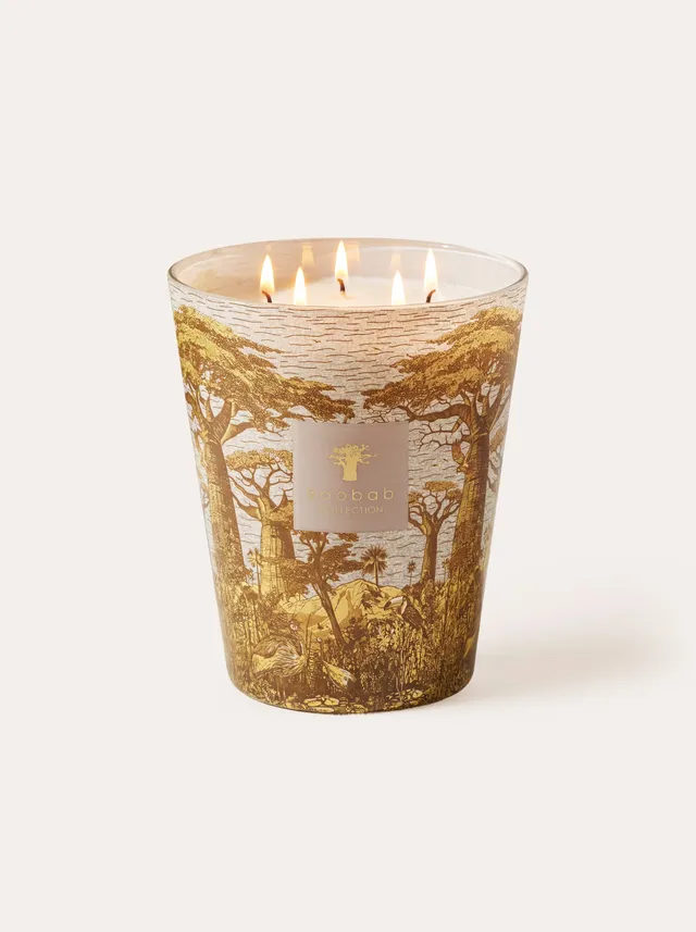 baobab-collection-sacred-trees-bounkani-bougie-parfum-e-classique image 1
