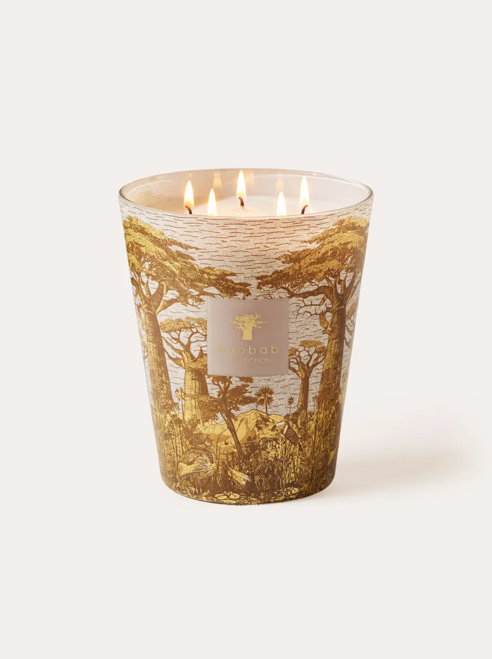 baobab-collection-sacred-trees-bounkani-bougie-parfum-e-classique image 1