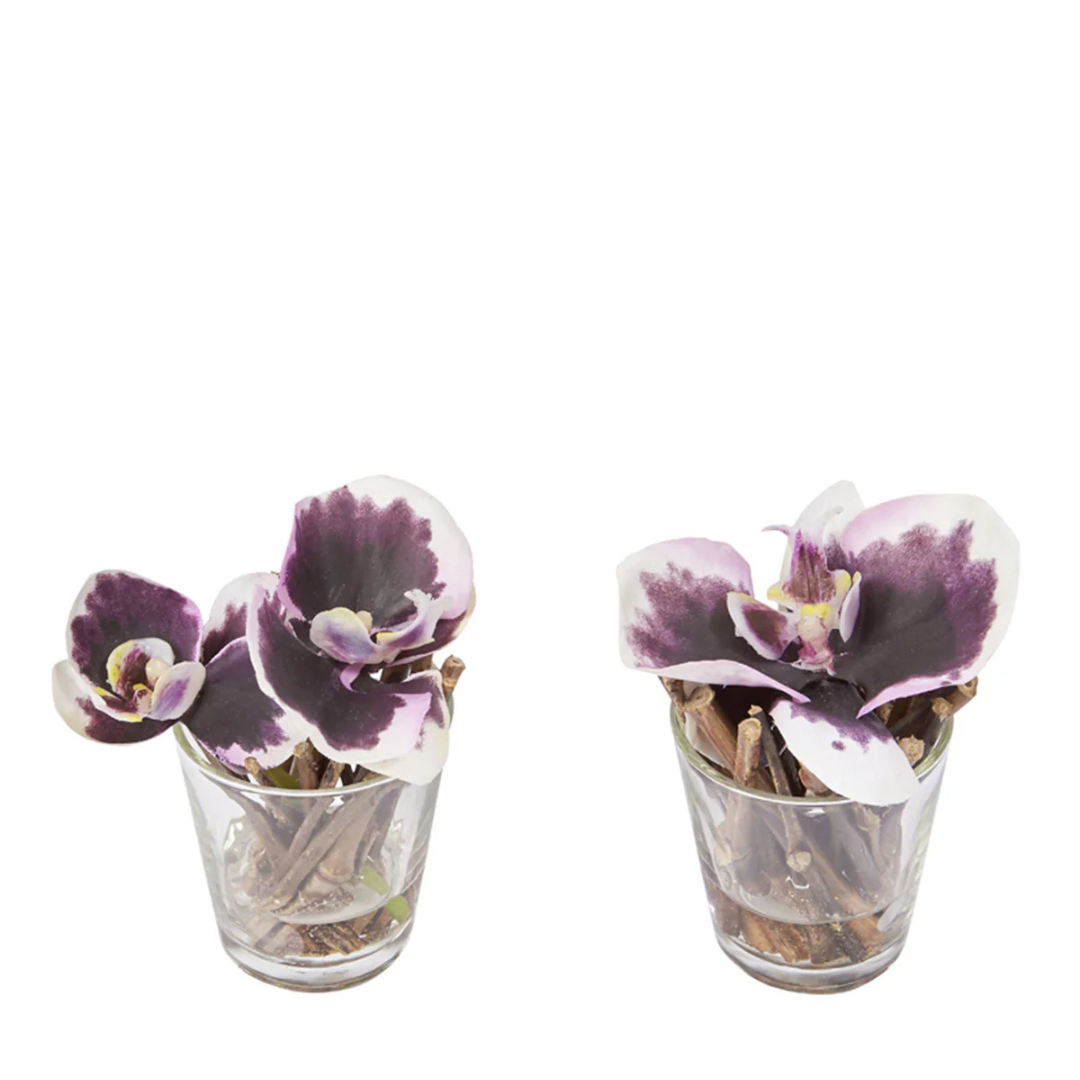 sia-noah-orchid-e-artificielle-sissi-fuchsia-en-pot image 3