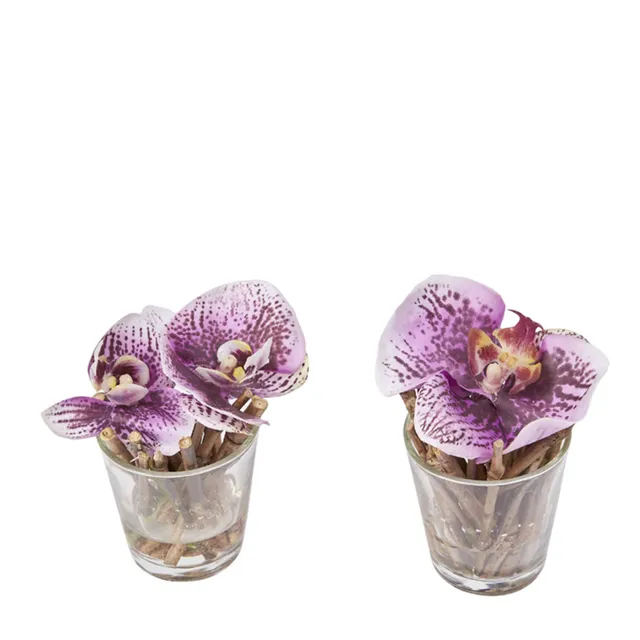 sia-noah-orchid-e-artificielle-sissi-fuchsia-en-pot image 1