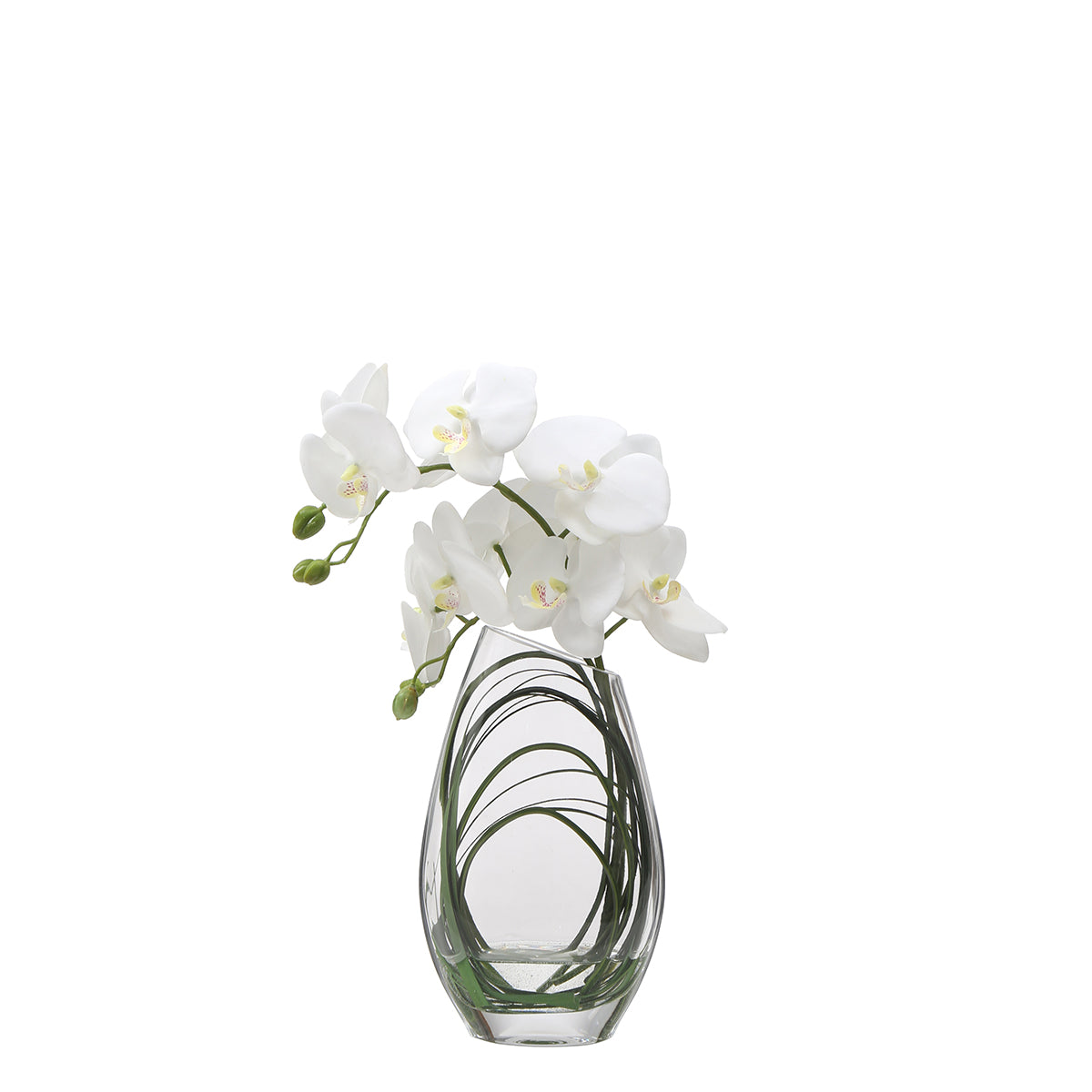 sia-deco-noah-composition-orchid-e-29-cm-plante-blanc image 1