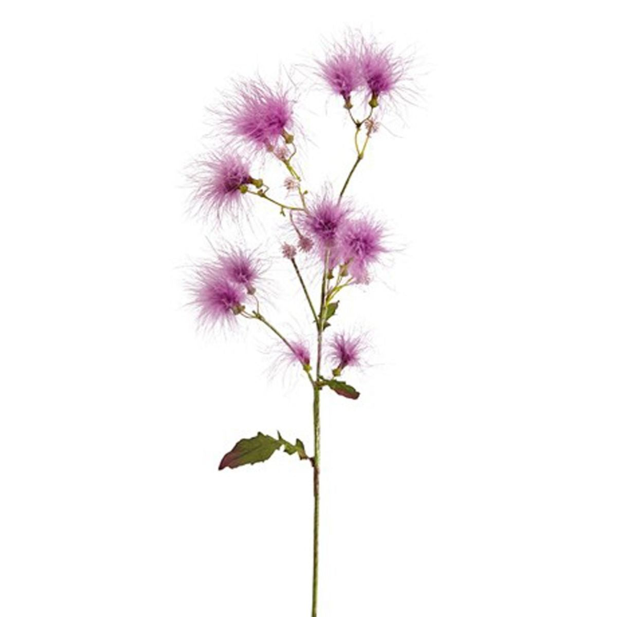 sia-noah-tige-cotinus-rose-63-cm-fleur image 3