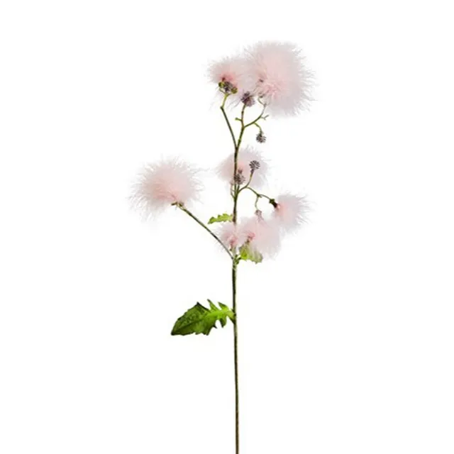 sia-noah-tige-cotinus-rose-63-cm-fleur image 1