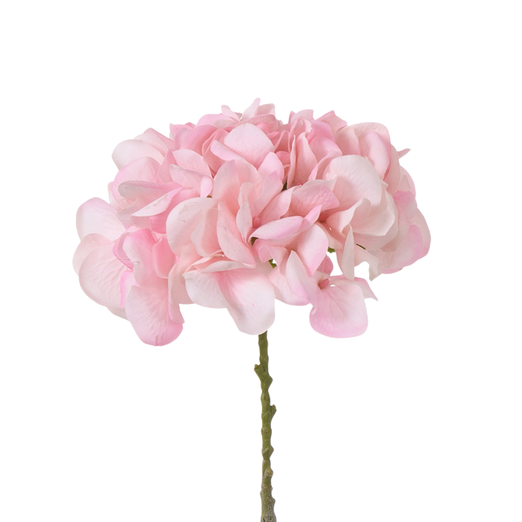 sia-deco-noah-tige-hortensia-artificiel-vert-63-cm-volume image 6