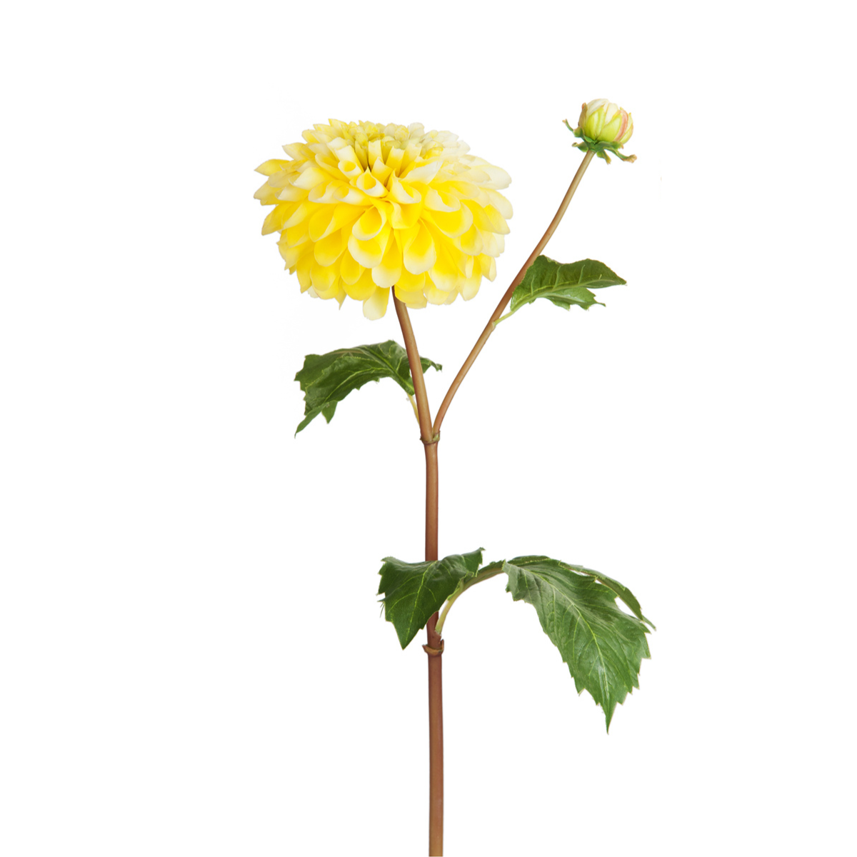 sia-noah-tige-dahlia-fleur-artificielle-orange-50-cm image 8