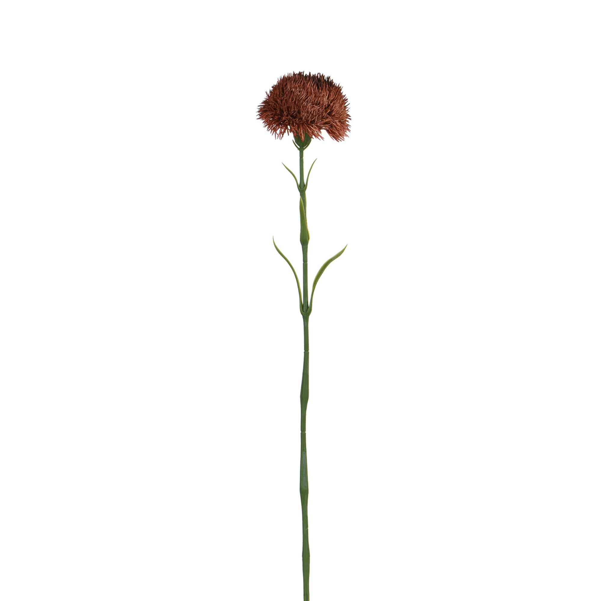 sia-noah-tige-chardon-artificiel-rose-p-le-60-cm-fleur-s-ch-e image 4